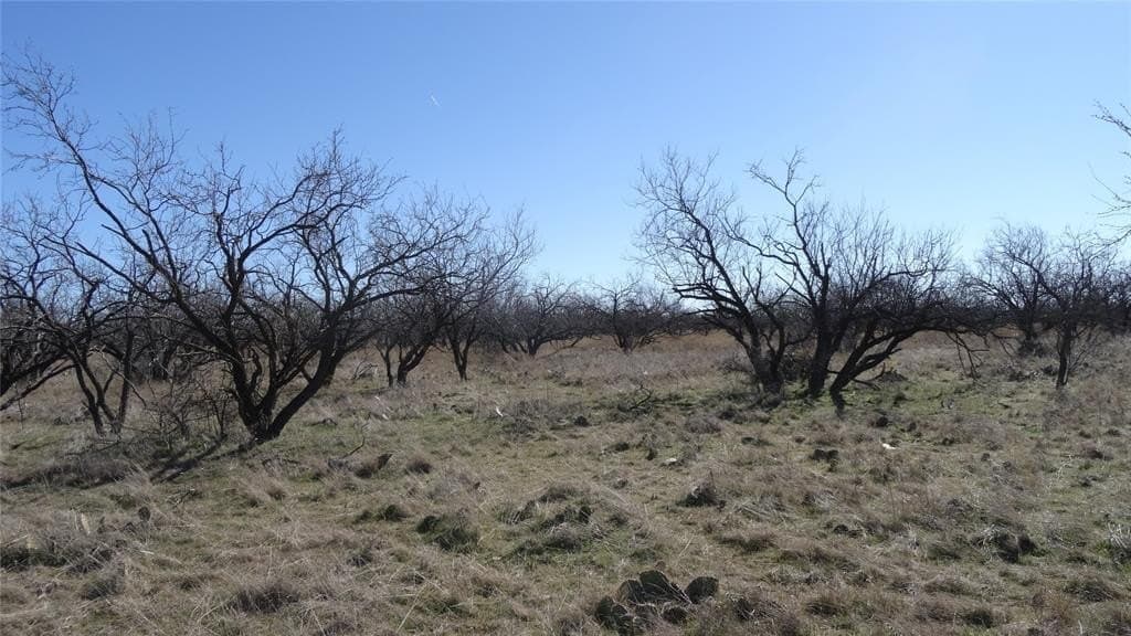 329.6 acres in Callahan County - photo 13