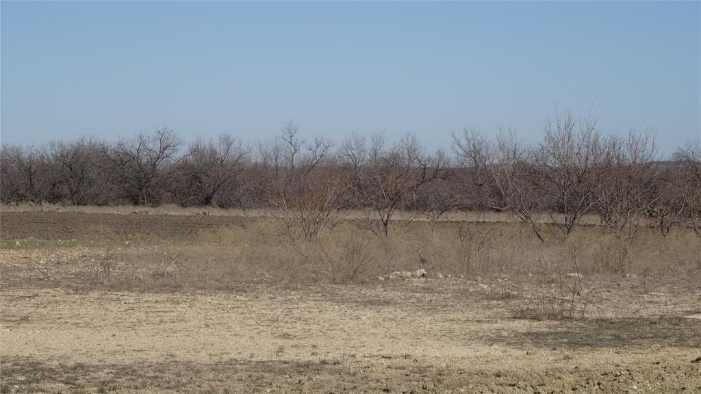 329.6 acres in Callahan County - photo 18