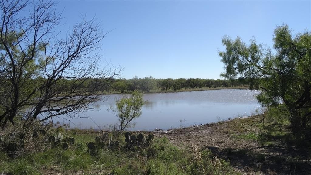 329.6 acres in Callahan County - photo 2
