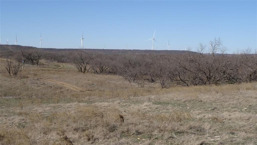 329.6 acres in Callahan County - photo 16