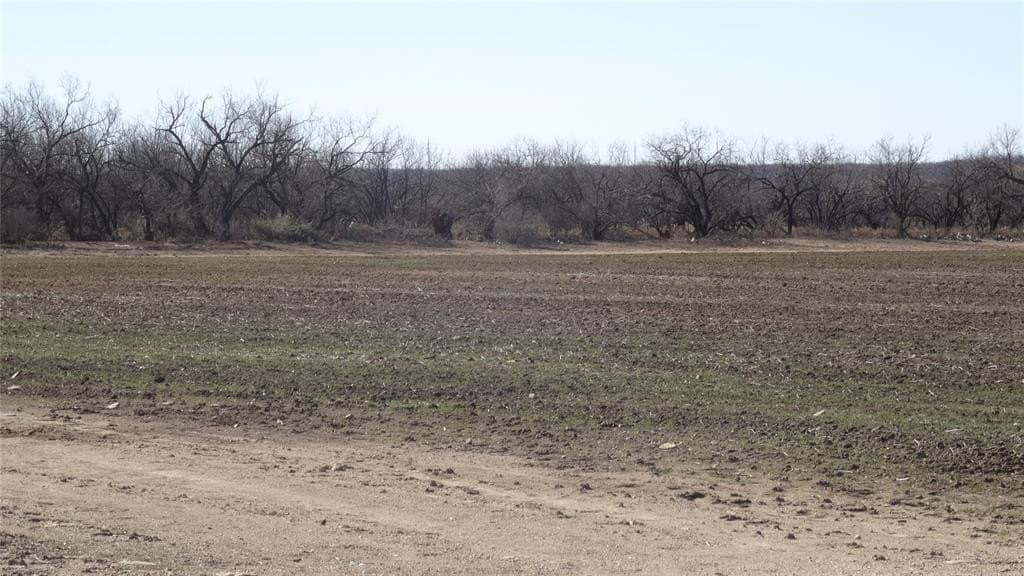 329.6 acres in Callahan County - photo 20