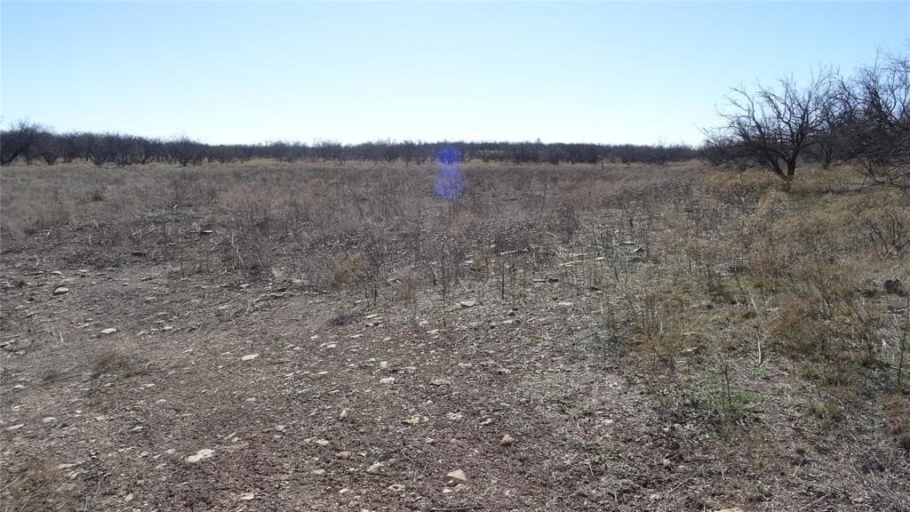 329.6 acres in Callahan County - photo 5