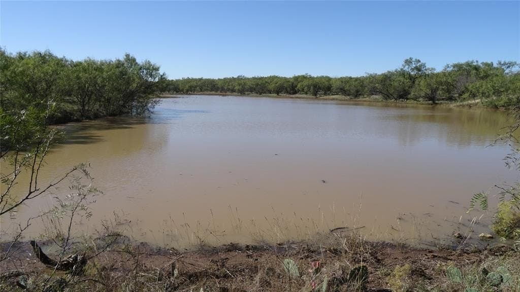 329.6 acres in Callahan County - photo 9