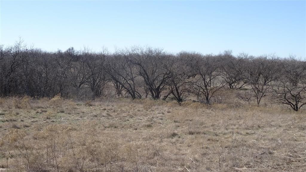 329.6 acres in Callahan County - photo 15