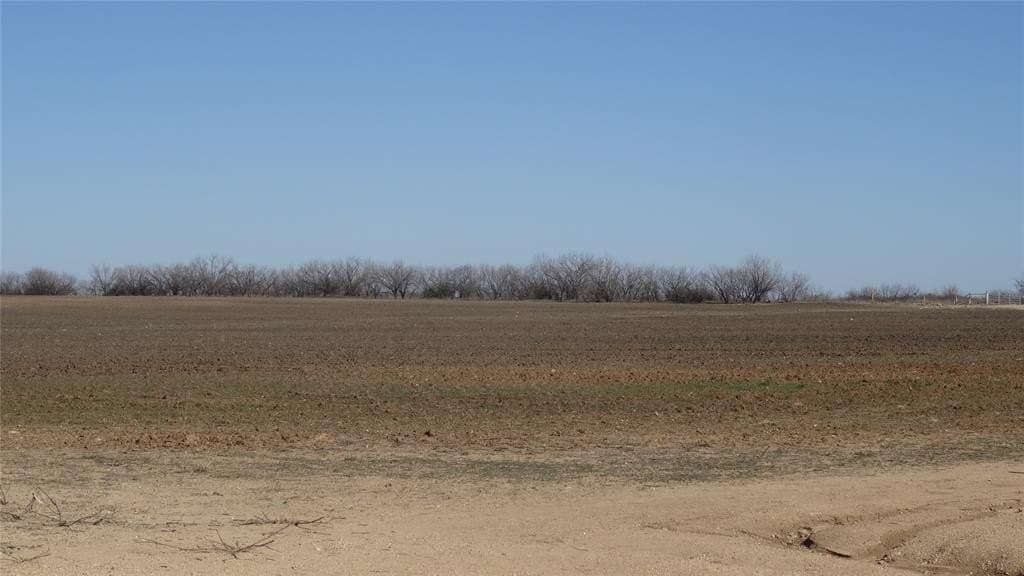 329.6 acres in Callahan County - photo 21
