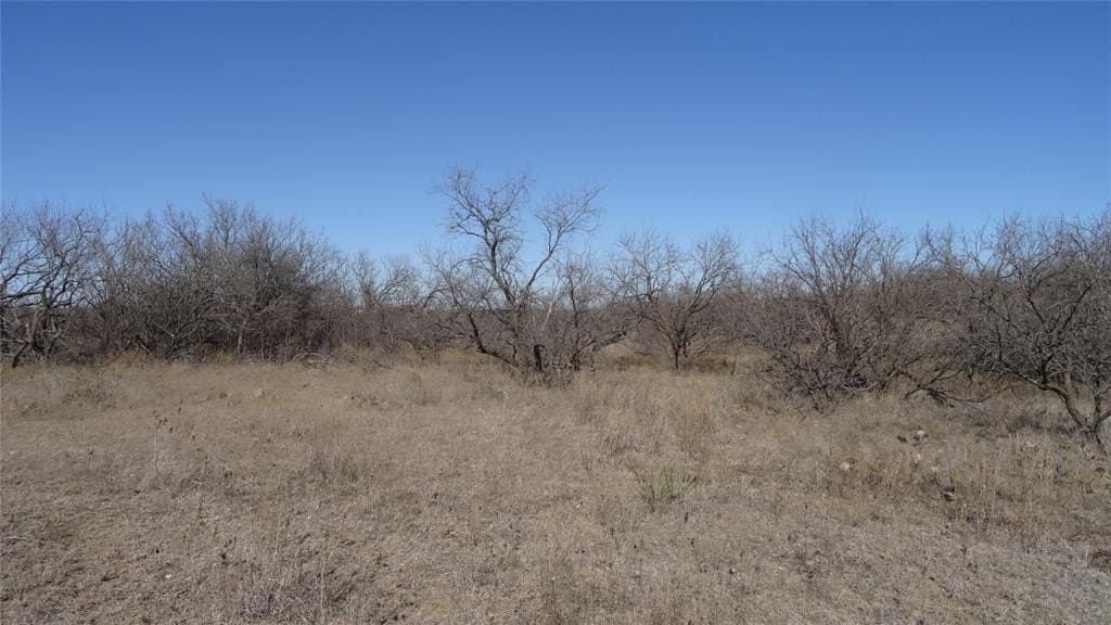 329.6 acres in Callahan County - photo 10