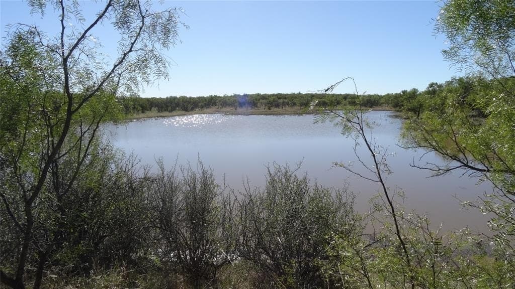 329.6 acres in Callahan County - photo 4
