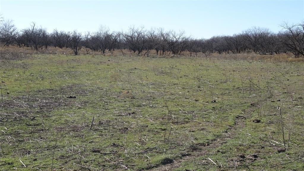 329.6 acres in Callahan County - photo 7