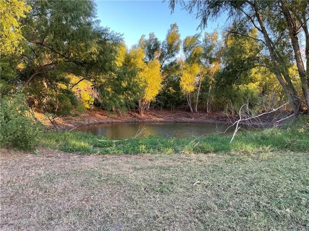 57 acres in Falls County - photo 6