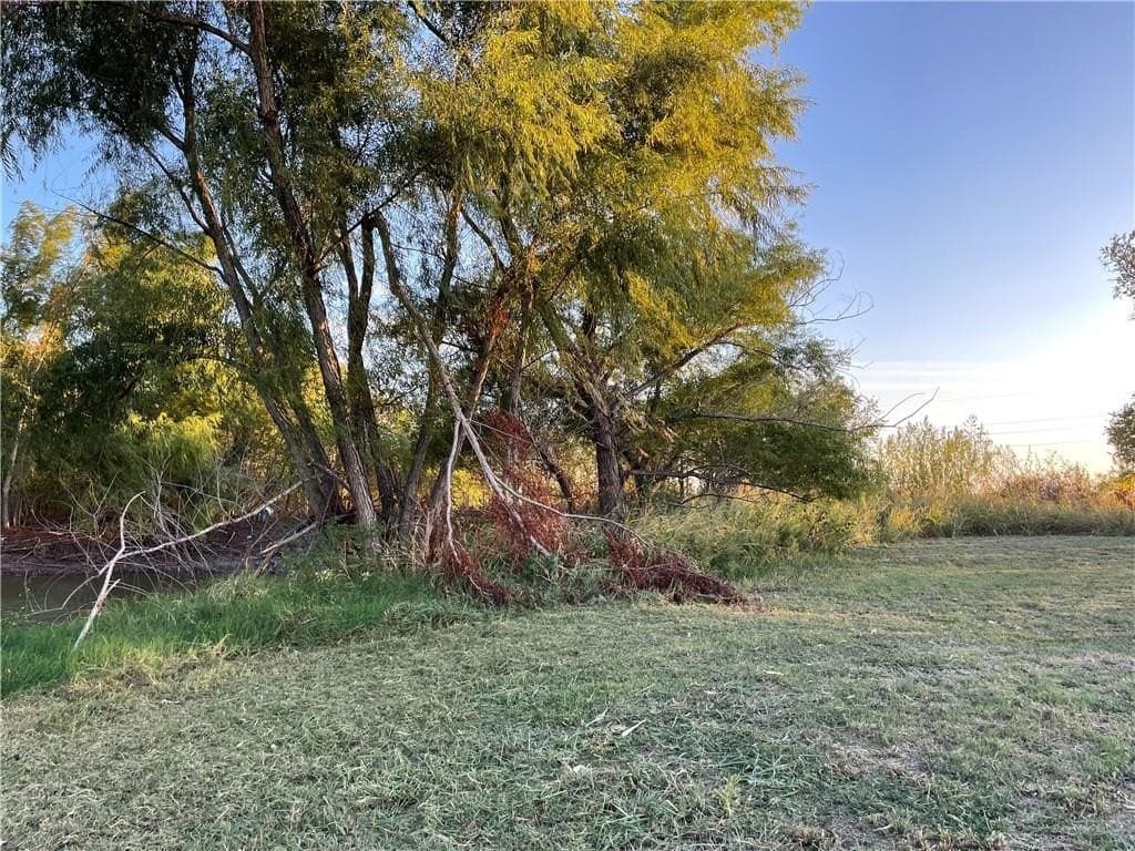 57 acres in Falls County - photo 9