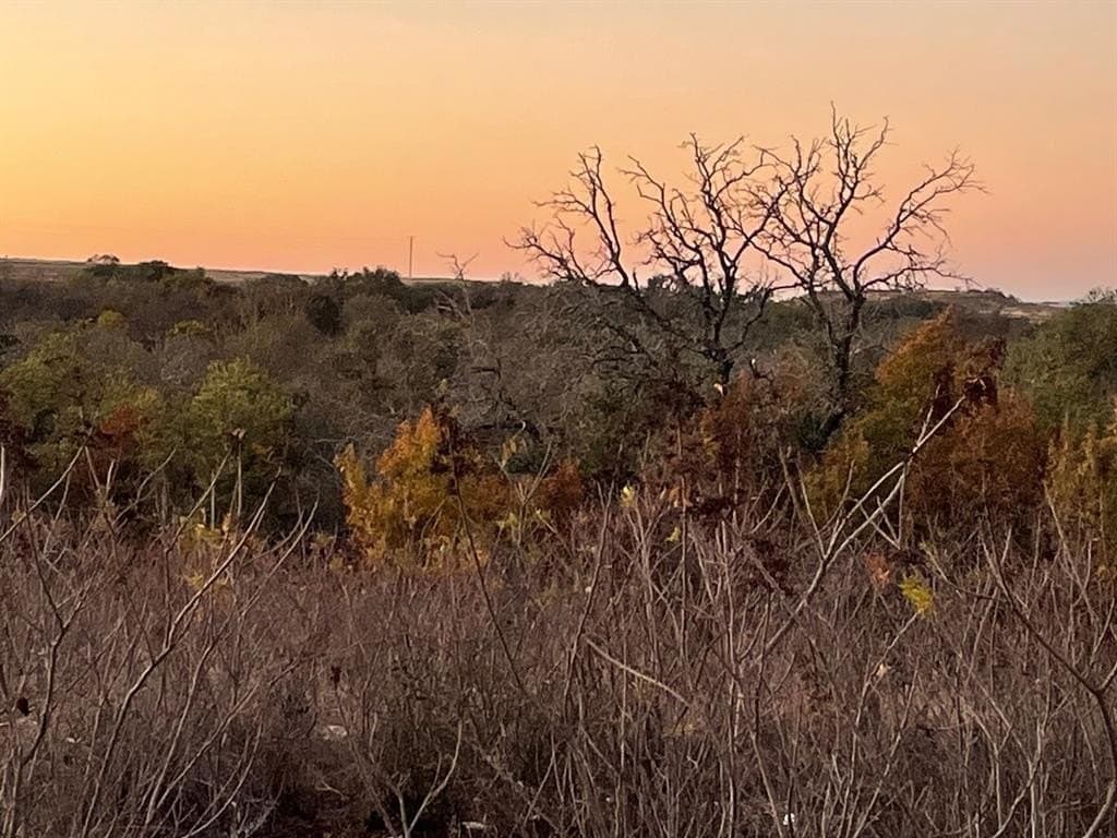 10.01 acres in Hamilton County - photo 4