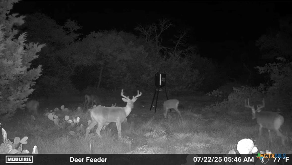 20.88 acres in Hamilton County - photo 9
