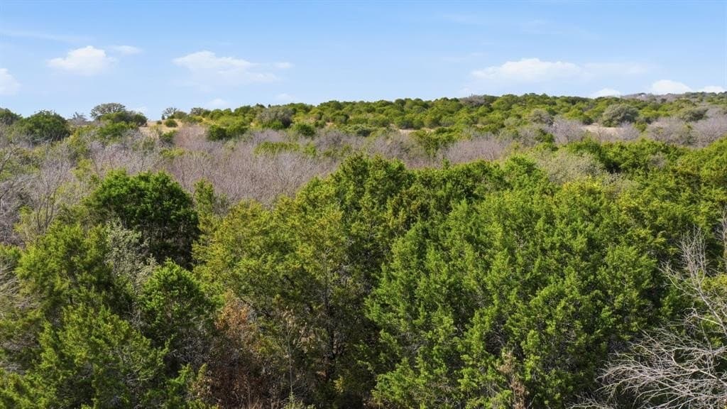 3.52 acres in Erath County - photo 11