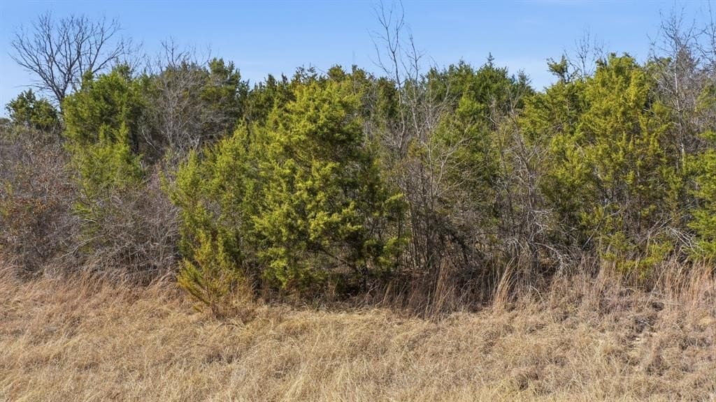 3.52 acres in Erath County - photo 14