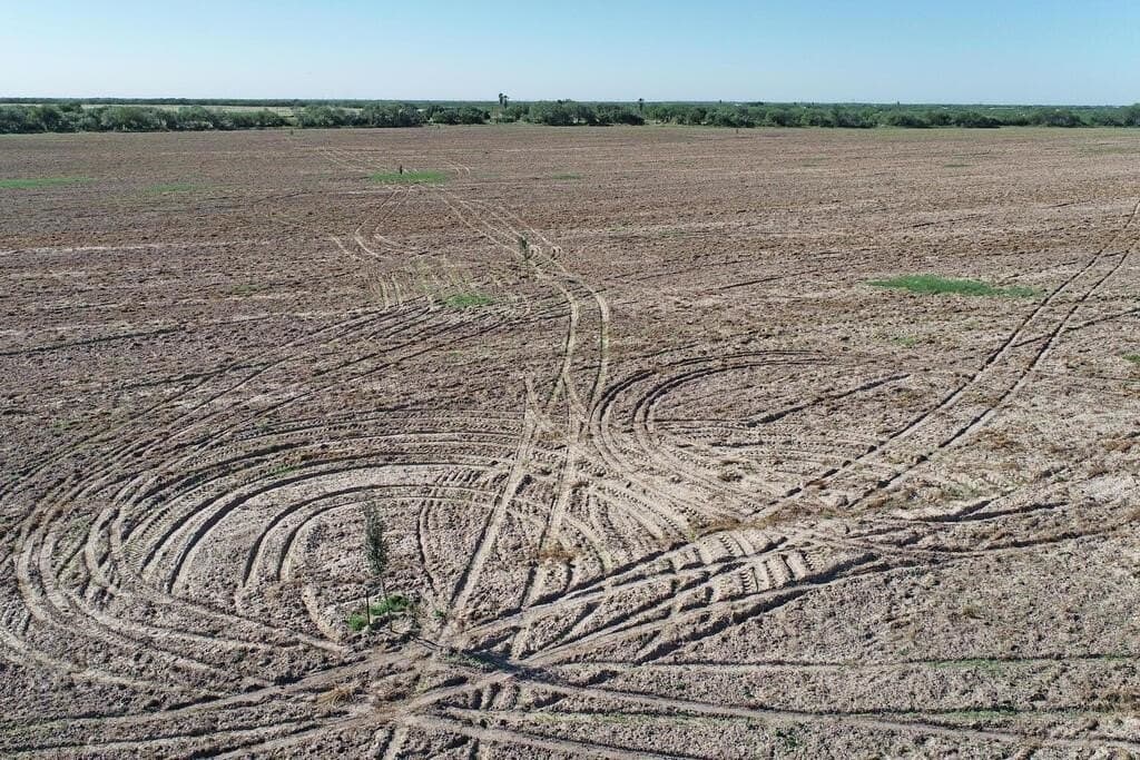 10 acres in Kleberg County - photo 7
