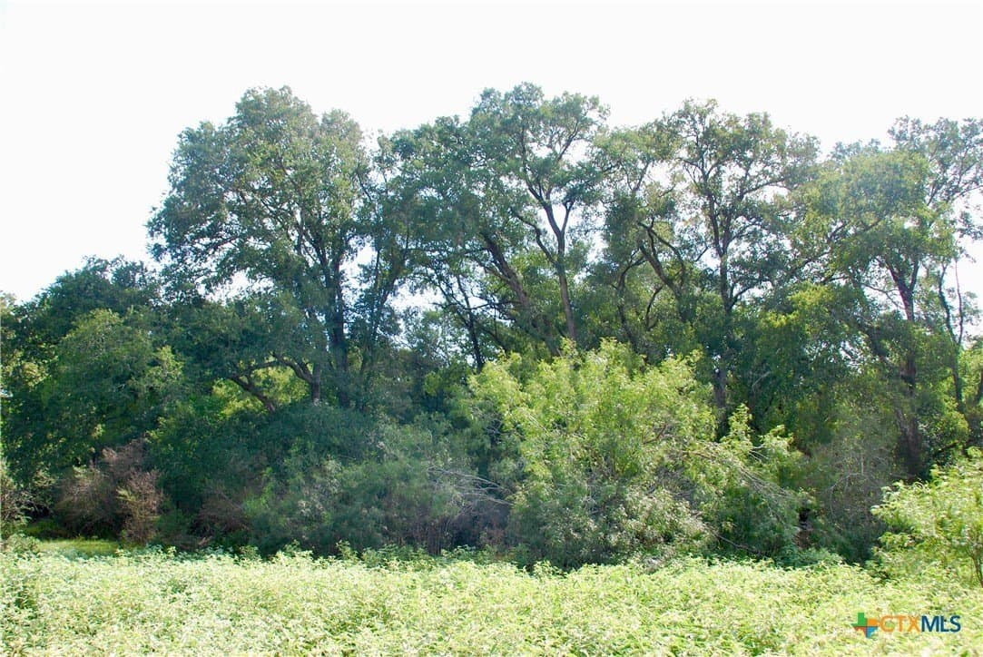 201.02 acres in Fayette County - photo 19