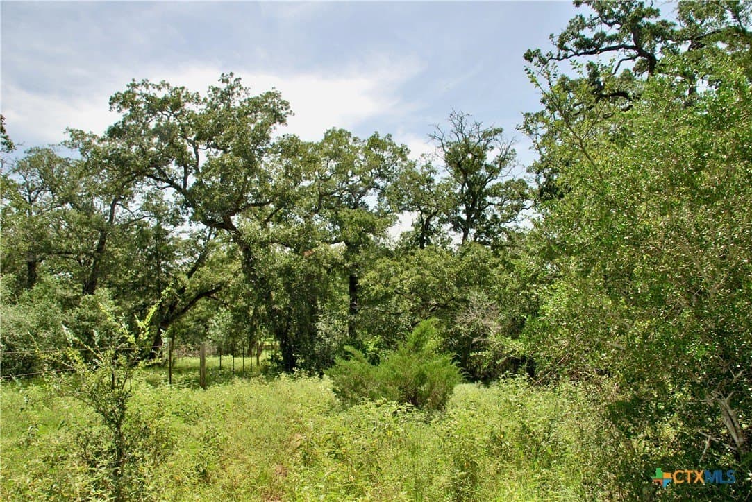 201.02 acres in Fayette County - photo 44