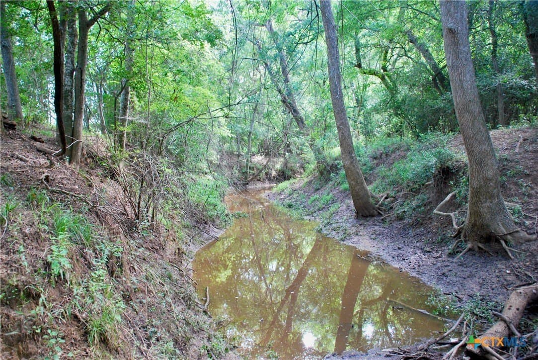 201.02 acres in Fayette County - photo 22