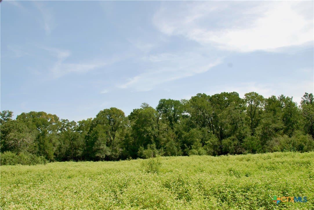 201.02 acres in Fayette County - photo 33
