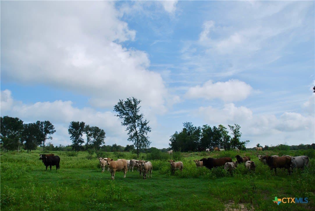 201.02 acres in Fayette County - photo 14