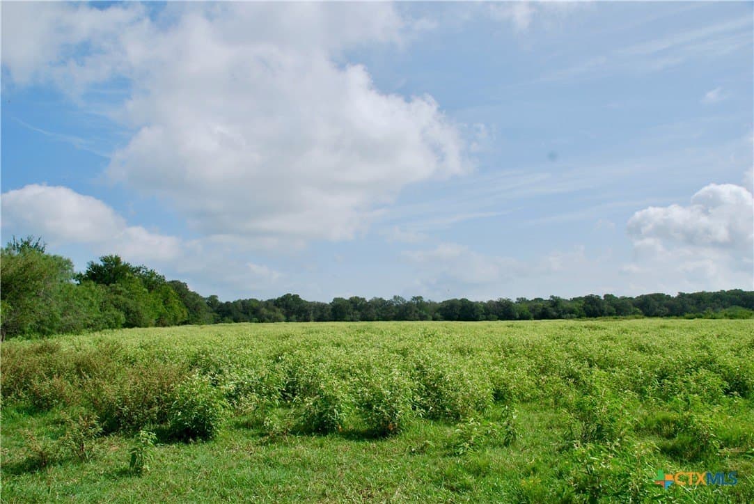 201.02 acres in Fayette County - photo 38