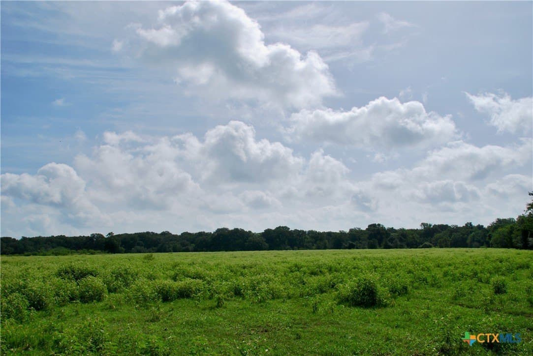 201.02 acres in Fayette County - photo 8