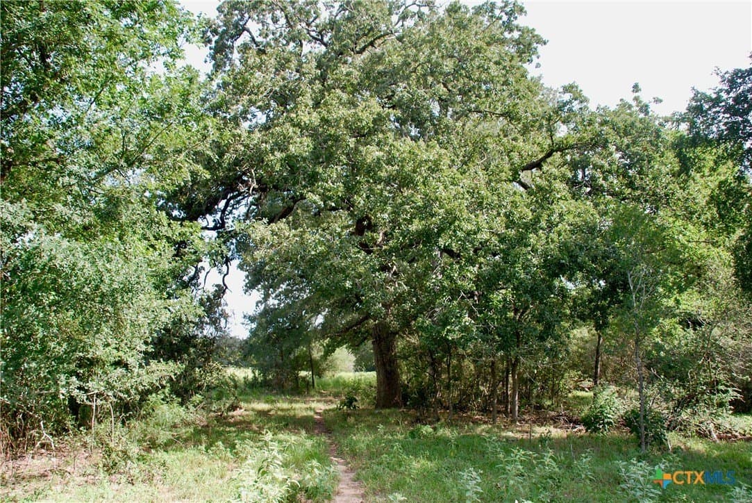 201.02 acres in Fayette County - photo 26