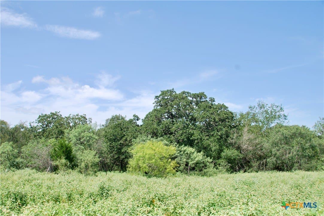201.02 acres in Fayette County - photo 39