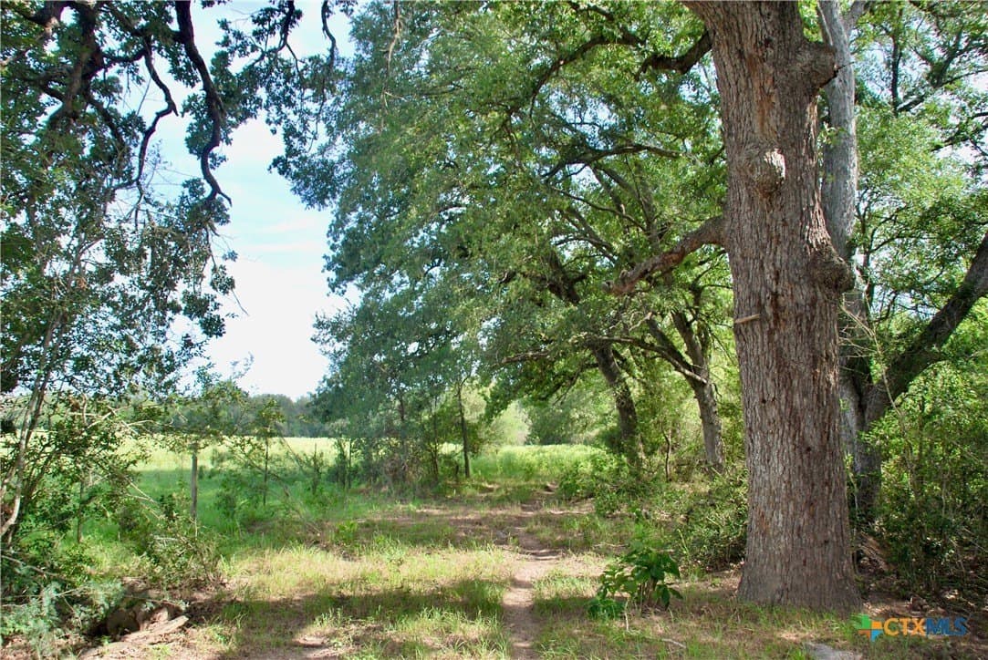 201.02 acres in Fayette County - photo 27