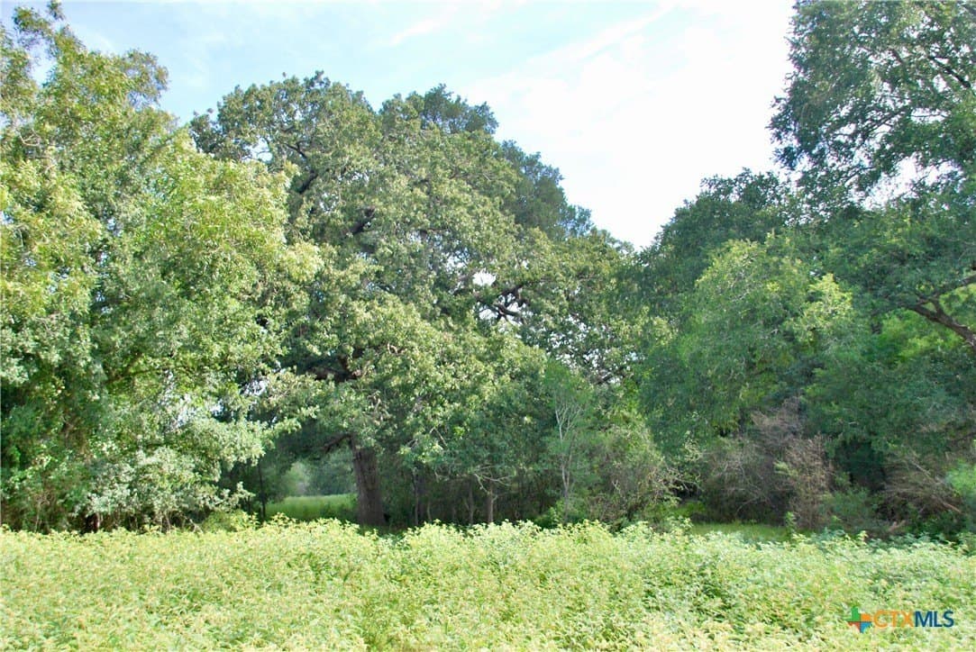 201.02 acres in Fayette County - photo 17