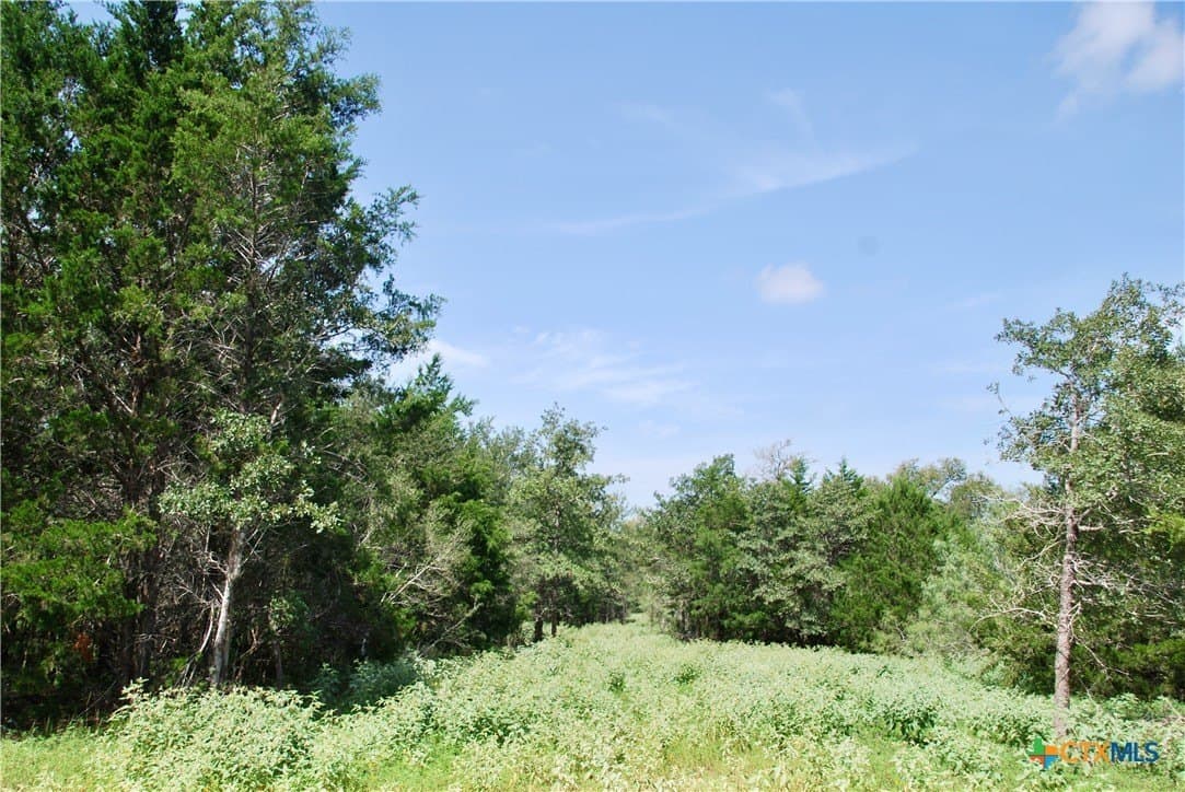 201.02 acres in Fayette County - photo 43