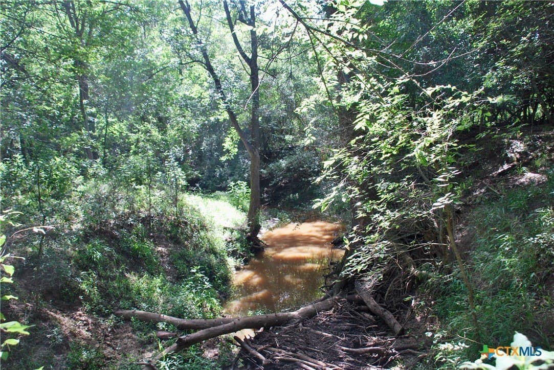 201.02 acres in Fayette County - photo 21