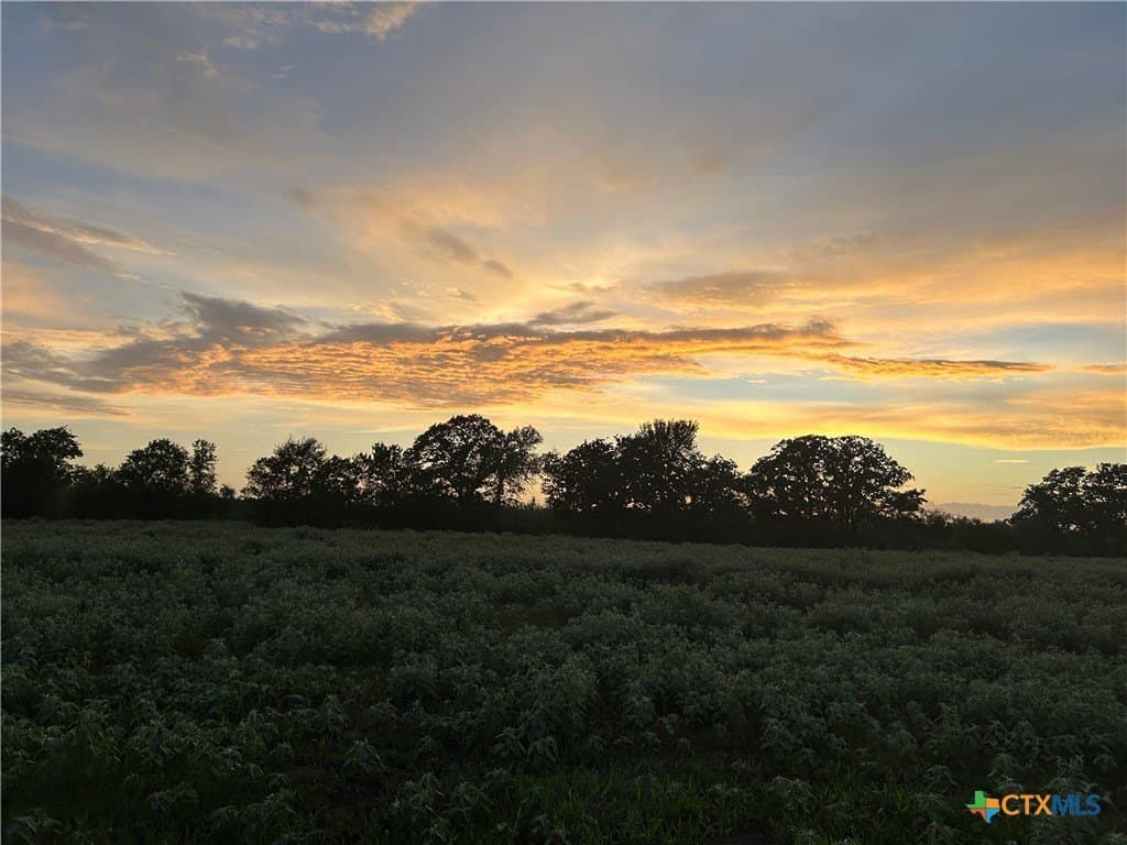 201.02 acres in Fayette County - photo 31