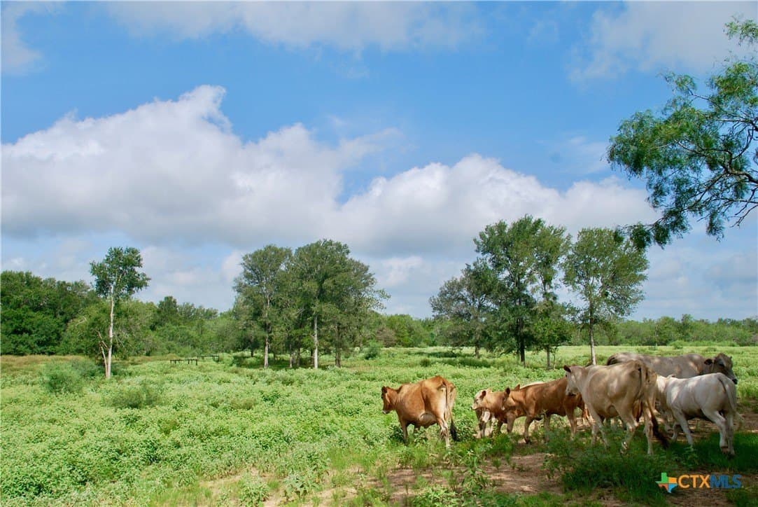 201.02 acres in Fayette County - photo 13