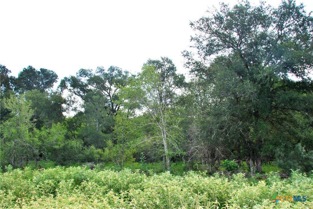201.02 acres in Fayette County - photo 20