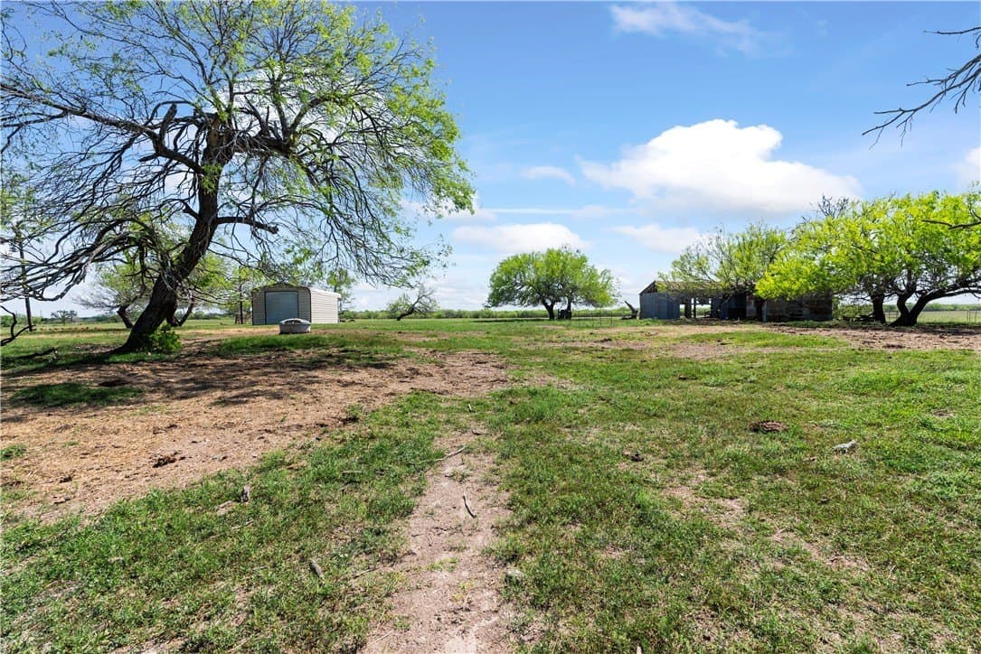 11.79 acres in Kleberg County - photo 3