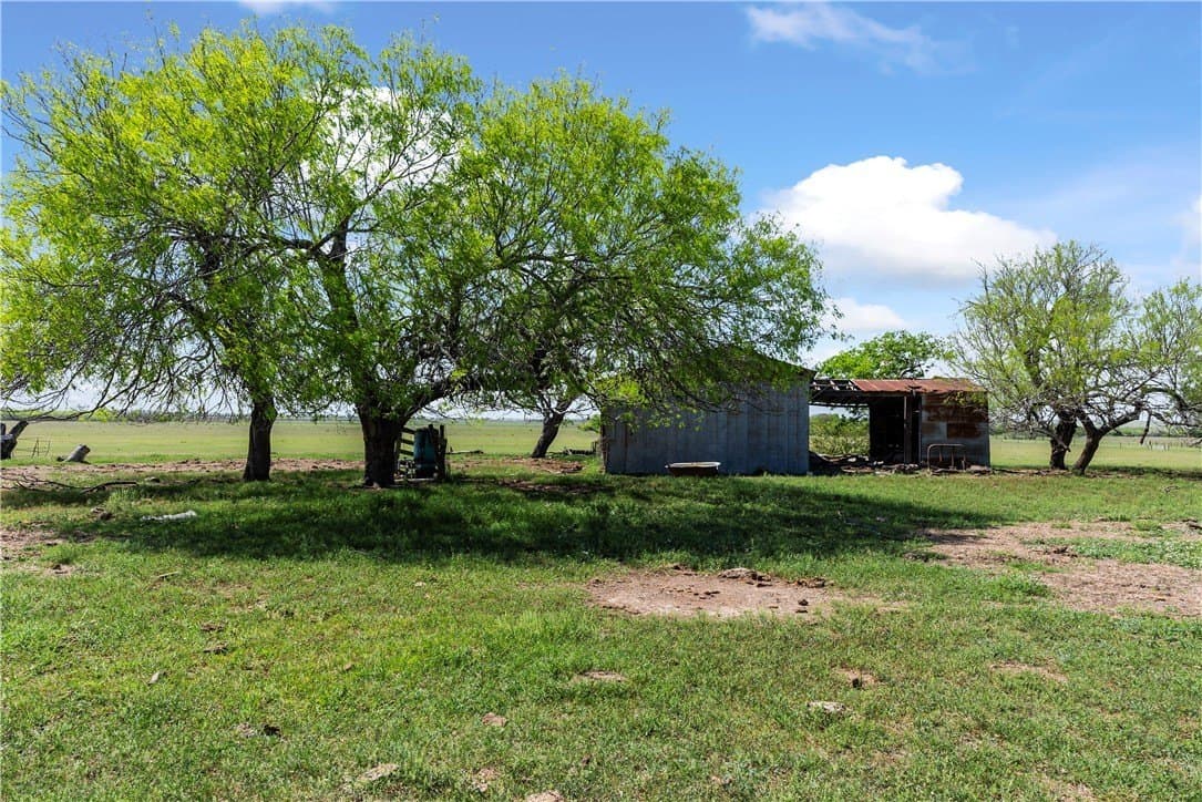 11.79 acres in Kleberg County - photo 5