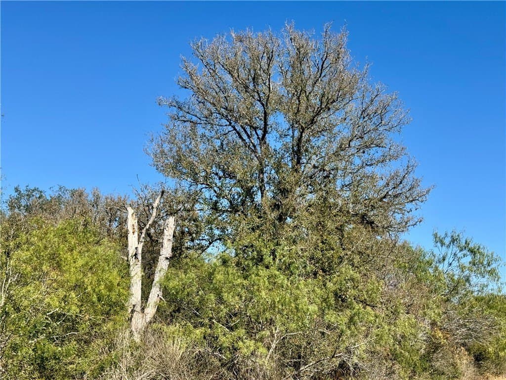 20 acres in Wilson County - photo 40