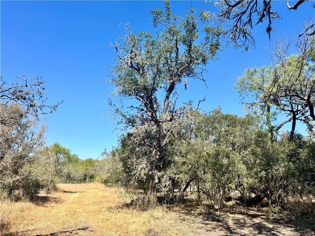 20 acres in Wilson County - photo 13