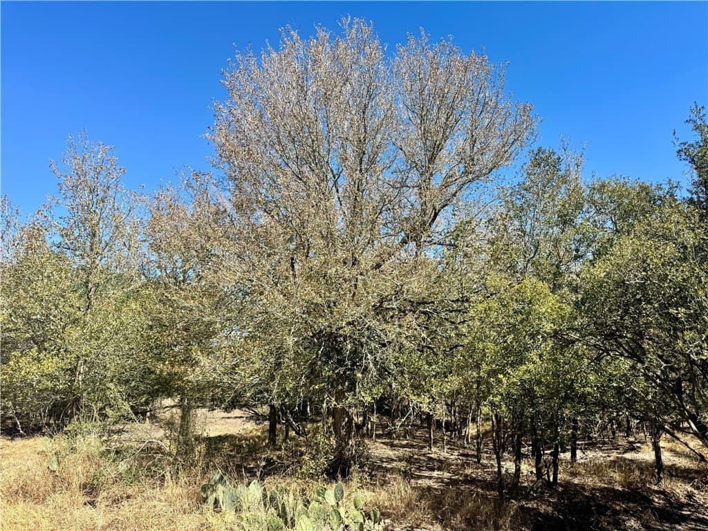 20 acres in Wilson County - photo 16