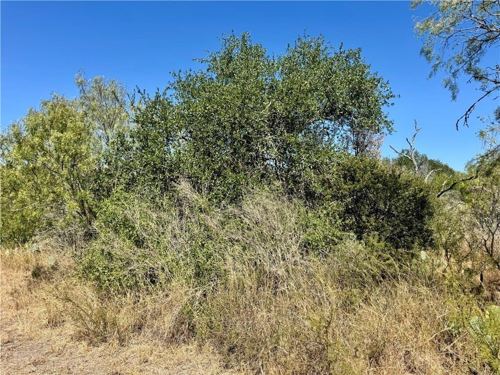20 acres in Wilson County - photo 5