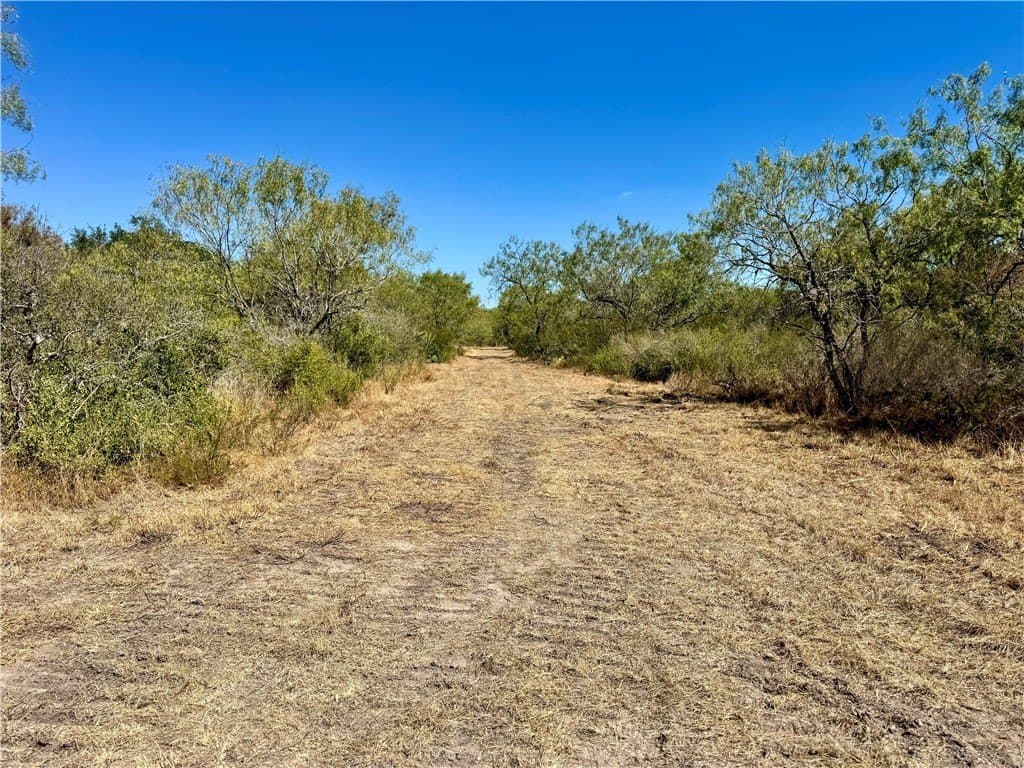 20 acres in Wilson County - photo 3