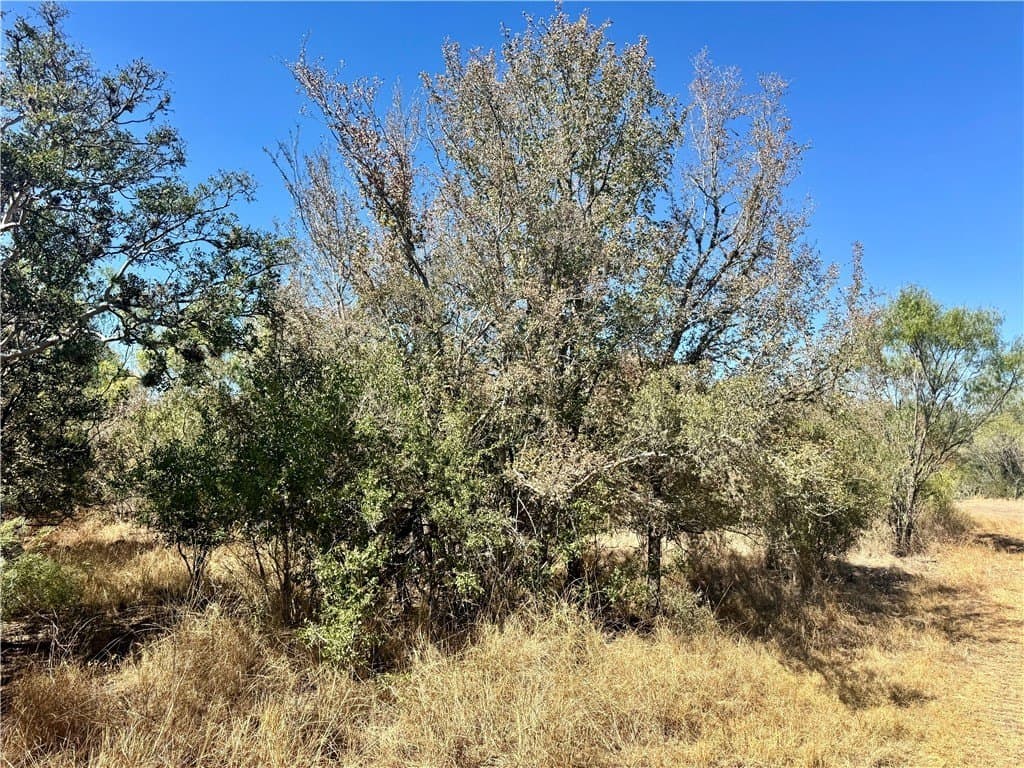 20 acres in Wilson County - photo 15