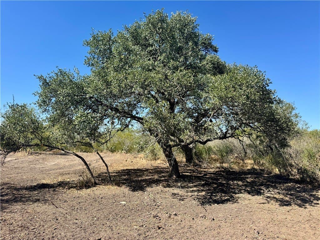20 acres in Wilson County - photo 32