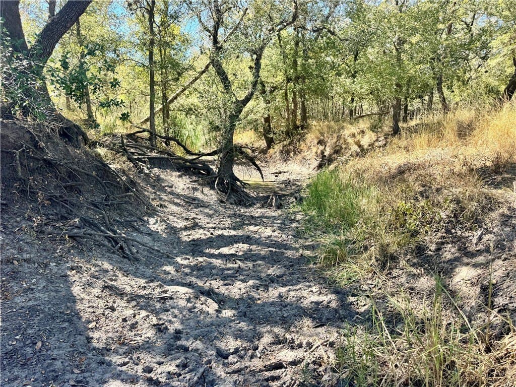 20 acres in Wilson County - photo 35