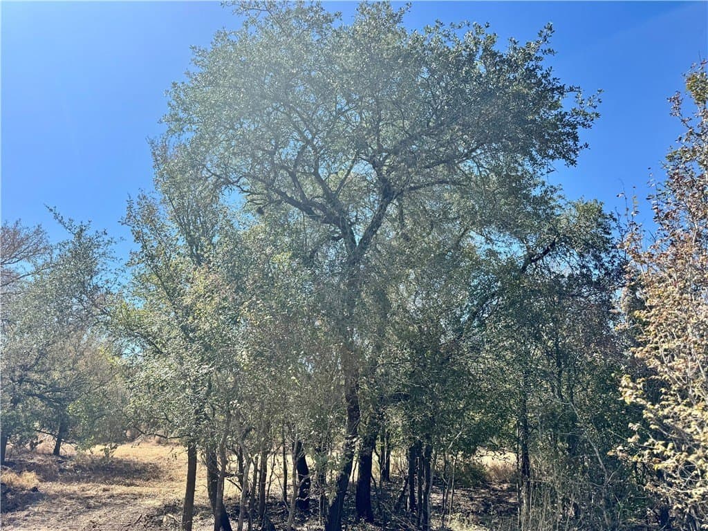 20 acres in Wilson County - photo 20