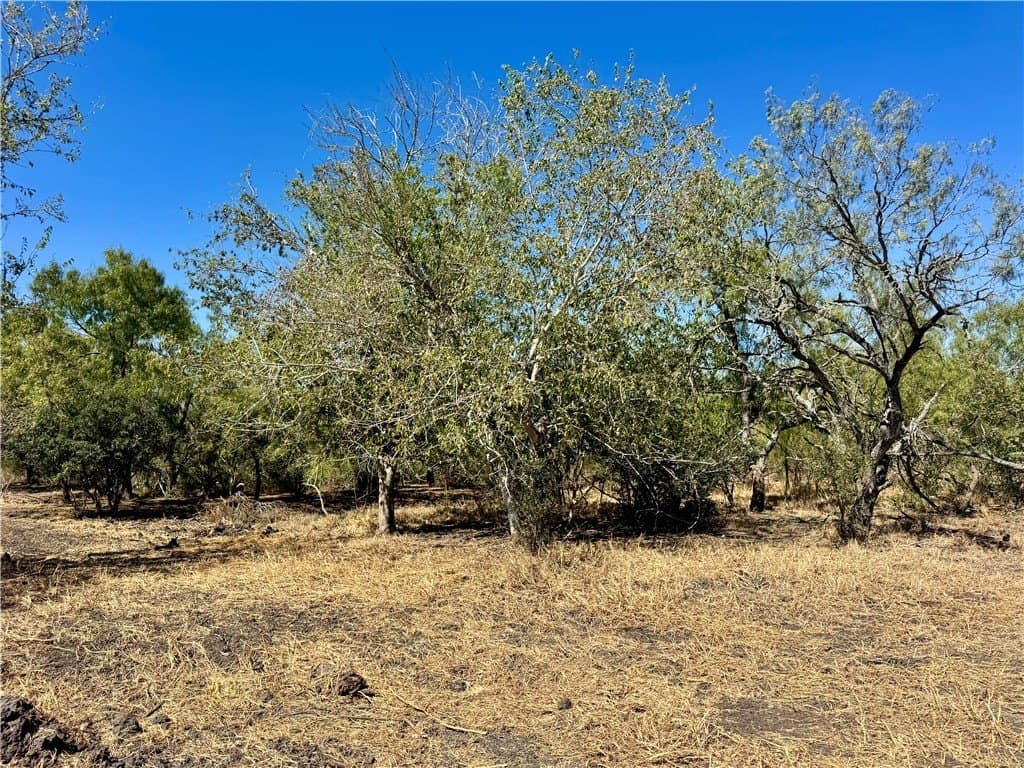 20 acres in Wilson County - photo 28