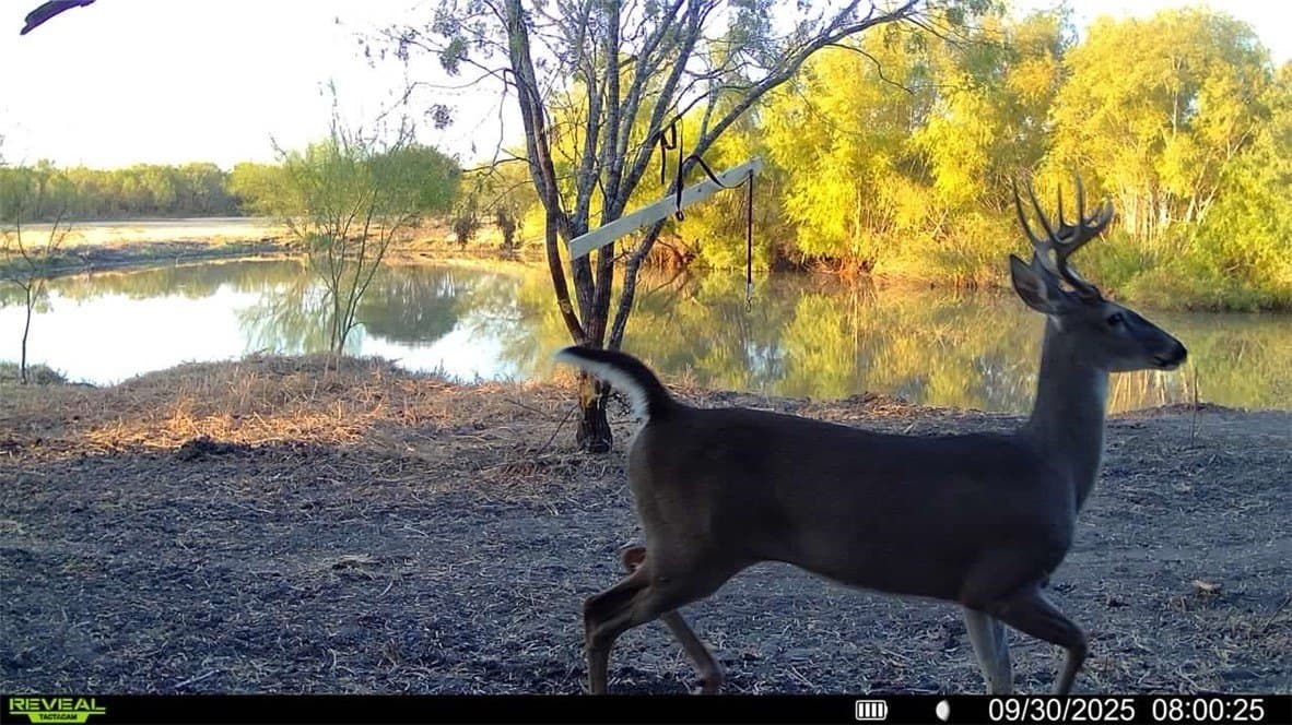20 acres in Wilson County - photo 10