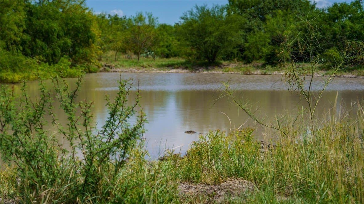 20 acres in Wilson County - photo 33