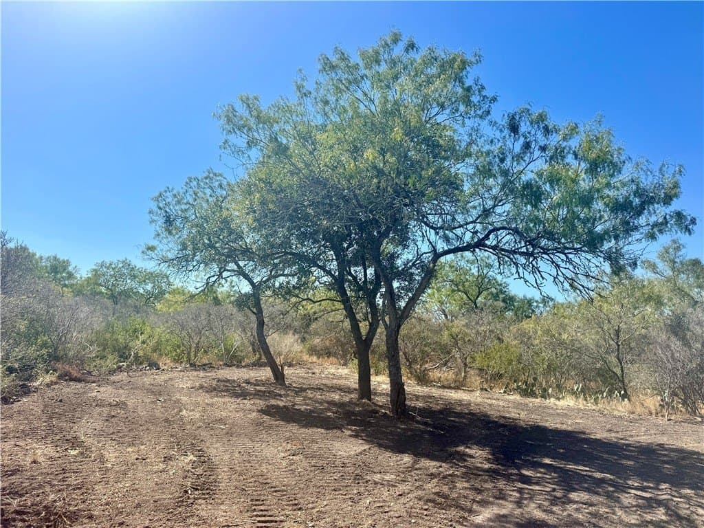 20 acres in Wilson County - photo 36